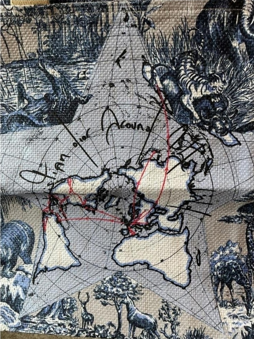 Dior Around The World Beauty Canvas Tote - Picture 4 of 10